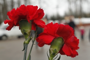 Возложение цветов к воинскому захоронению в Мигалово